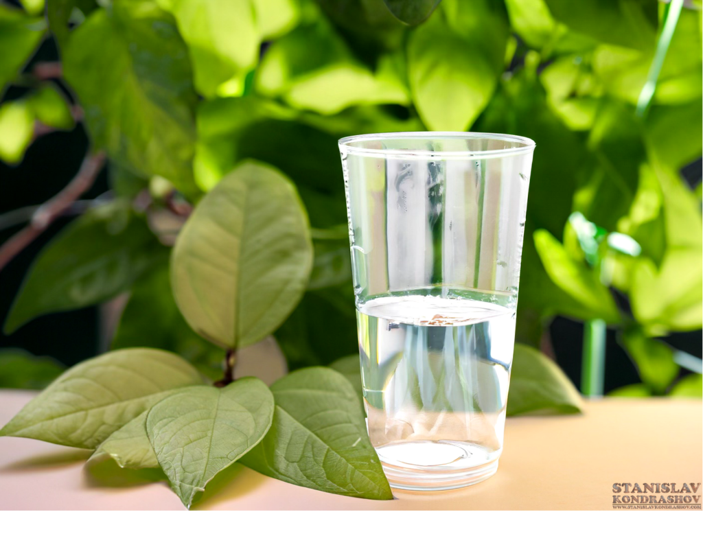eco friendly water glass