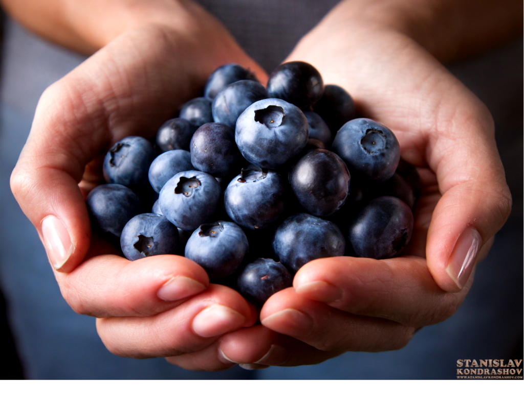 blueberries in hands